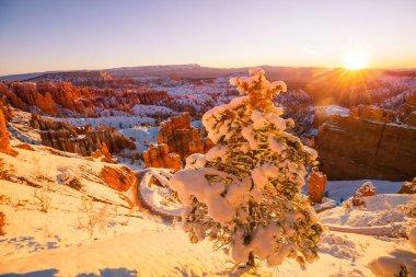 Kış mevsiminde Bryce Canyon Ulusal Parkı 'nın renkli pembe kayaları Utah, ABD