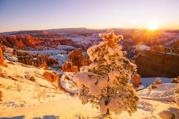 stock image Picturesque colorful pink rocks of the Bryce Canyon National park in the winter season, Utah, USA
