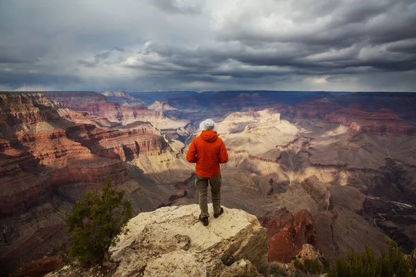 Grand Canyon Ulusal Parkı Arizona Abd Üzerindeki Uçurum Dağlarındaki Gezgin — Stok fotoğraf