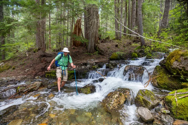 Mann Bei Wanderung Über Fluss Sommerwald — Stockfoto