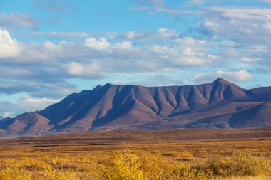 Tundra landscapes above Arctic circle in autumn season. Beautiful natural background.