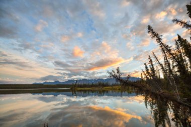 Kanada'da dağ gölü sakin sahne