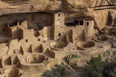 Mesa Verde Ulusal Parkları 'ndaki Cliff evleri, Colorado, ABD