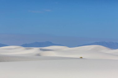 New Mexico, ABD 'deki White Sands Kumulları' ndaki alışılmadık doğal manzaralar.