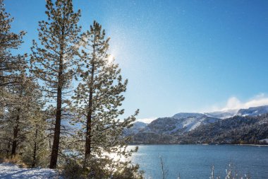 Sierra Nevada Dağının manzarası. Sonbahar sonu manzarası. Kaliforniya, ABD.