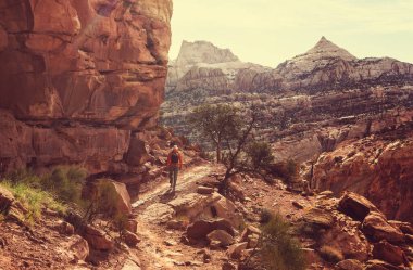 Utah, Capitol Resifi Ulusal Parkı 'ndaki alışılmadık doğal manzaralar.