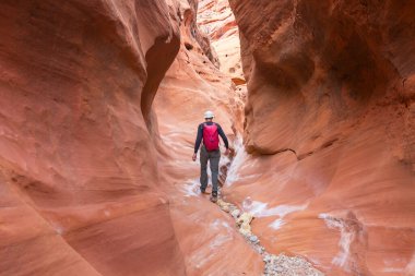 Utah, ABD 'deki Grand Staircase Escalante Ulusal Parkı' ndaki Slot Kanyonu. Utah çöllerinde alışılmadık renkli kumtaşı oluşumları yürüyüşçüler için popülerdir..