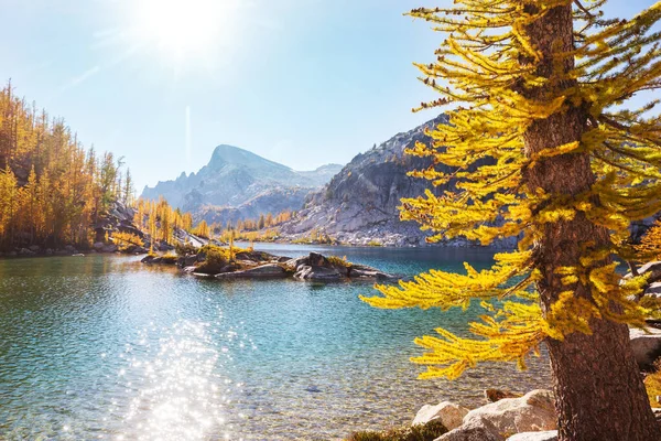 Beaux Lacs Alpins Zone Sauvage Washington États Unis — Photo