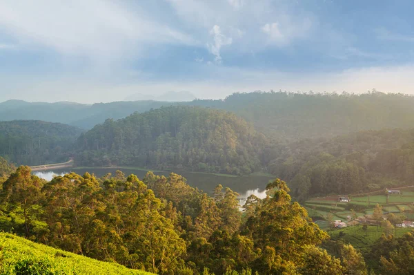 斯里兰卡美丽的自然景观 — 图库照片