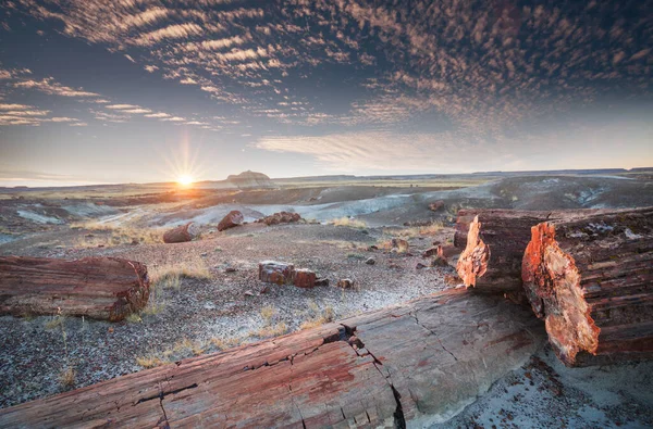 アリゾナ州化石の森国立公園 — ストック写真