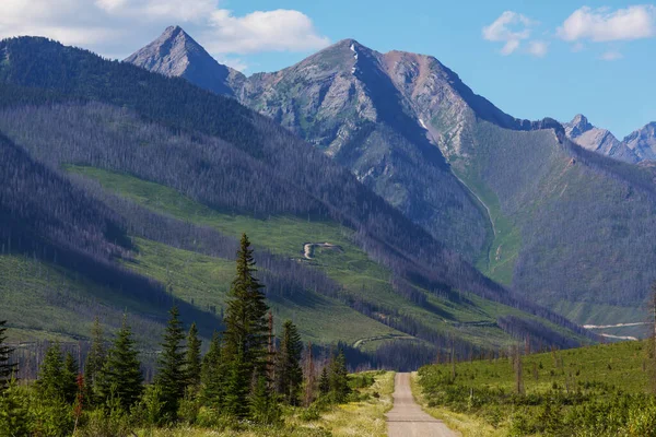 山の中で風景道路 旅行の背景 — ストック写真
