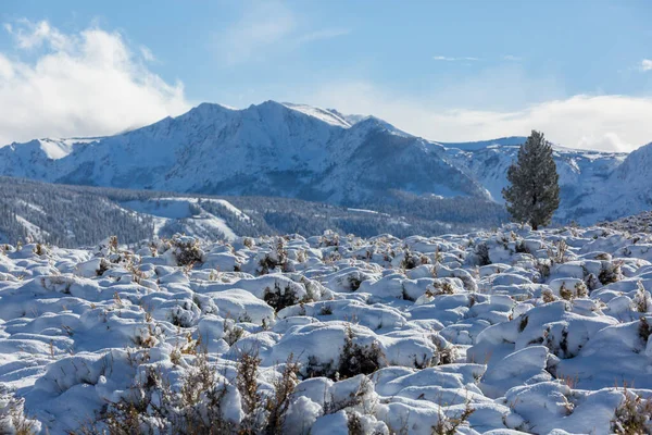 Szenische Aussicht Auf Die Sierra Nevada Spätherbstliche Landschaft Kalifornien Usa — Stockfoto
