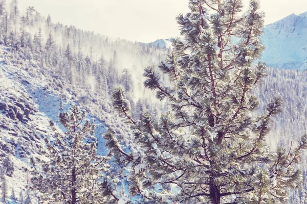 Snow Covered Mountains Winter Season — Stock Photo, Image