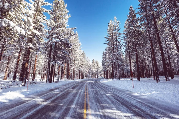 Estrada Rural Temporada Inverno Bela Floresta Inverno — Fotografia de Stock
