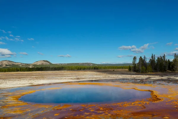 Lham Verici Doğal Bir Geçmiş Yellowstone Ulusal Parkı Ndaki Havuz — Stok fotoğraf