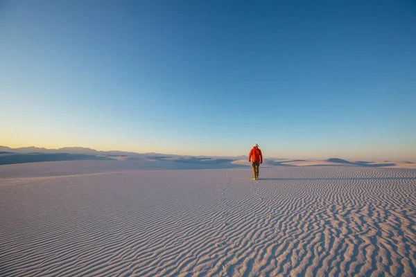 New Mexico Abd Deki White Sands Dunes Yürüyüşçü — Stok fotoğraf