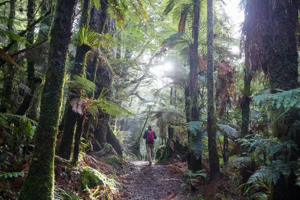 Hiking Tramping New Zealand Travel Adventure Concept — Stock Photo, Image