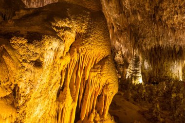 ABD, New Mexico 'daki Carlsbad Mağaraları Ulusal Parkı
