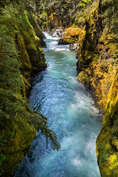Blue River Narrow Canyon Canada — Stockfoto