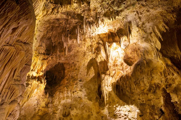 Parc National Des Cavernes Carlsbad Aux États Unis Nouveau Mexique — Photo
