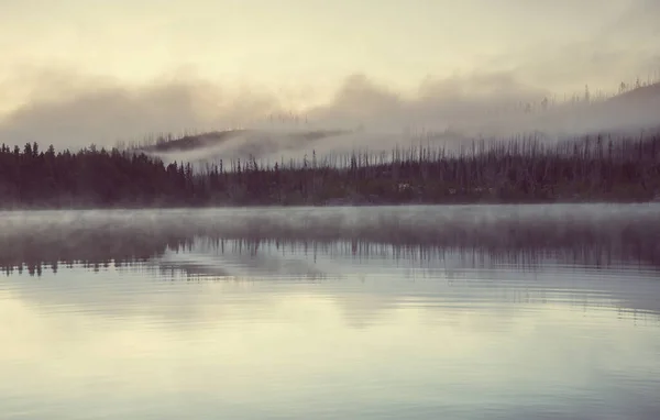 Похмуре Гірське Озеро Ранній Тихий Ранок Горах — стокове фото
