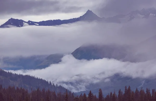 夏にアラスカの絵のような山 雪に覆われた大規模な氷河や岩のピーク 美しい自然背景 — ストック写真