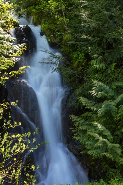 Waterfall Green Forest — Stock Photo, Image