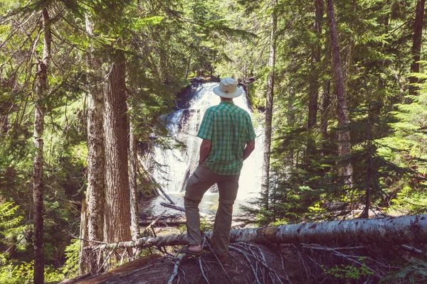Vandrare Nära Vackert Vattenfall Kanadensiska Berg — Stockfoto