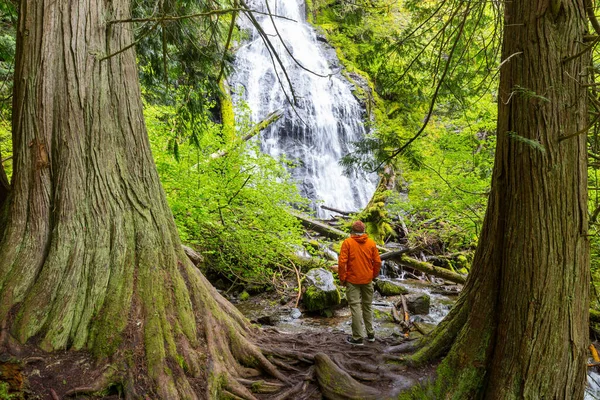 Wanderer Der Nähe Eines Wunderschönen Wasserfalls Den Kanadischen Bergen — Stockfoto