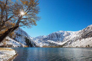 Sierra Nevada Dağı 'nın manzarası. Sonbahar yaprakları. Kaliforniya, ABD.