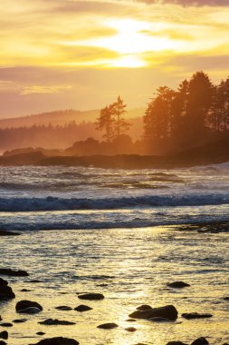 Sunset scene in a ocean beach,  Nature and travel background