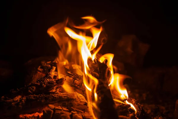 Campfire Sulla Festa Notturna — Foto Stock
