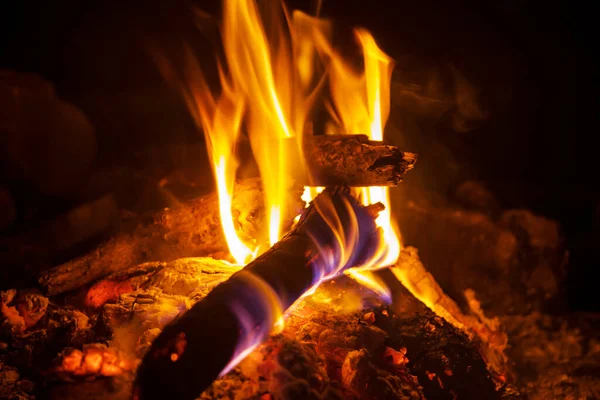 Gece Partisinde Kamp Ateşi — Stok fotoğraf