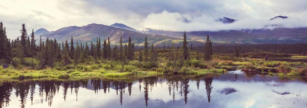 Alaska Tundrasında Huzur Gölü Panorama Görünümü — Stok fotoğraf