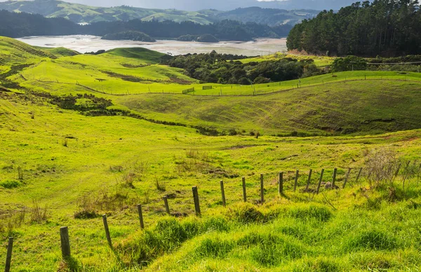 Prachtig Landelijk Landschap Van Nieuw Zeeland Bij Zonsopgang — Stockfoto