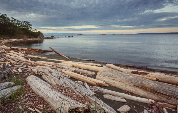 Isola Vancouver Columbia Britannica Canada — Foto Stock