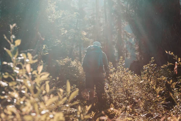 Mann Bei Wanderung Herbstwald — Stockfoto