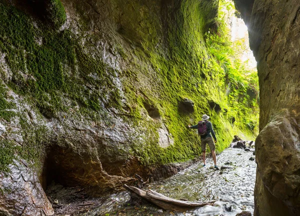 加拿大温哥华岛的狭长地带苔藓峡谷徒步旅行 — 图库照片