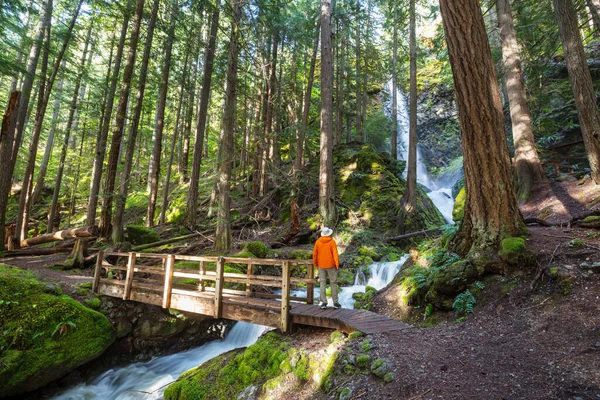 Turista Blízkosti Krásného Vodopádu Kanadských Horách — Stock fotografie