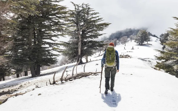 Caminante Los Mountsins Invierno — Foto de Stock
