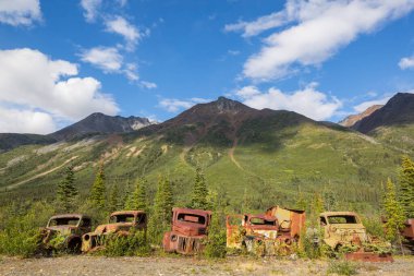 Kuzey Kanada 'da yaz mevsiminde vahşi doğada paslanan bir dizi terk edilmiş paslı savaş kamyonu.