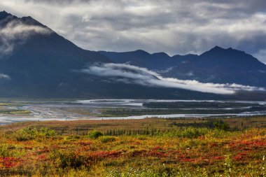 Yazın Alaska 'nın Picturesque Dağları. Kar, kütleleri, buzulları ve kayalık tepeleri kapladı. Güzel doğal arkaplan.