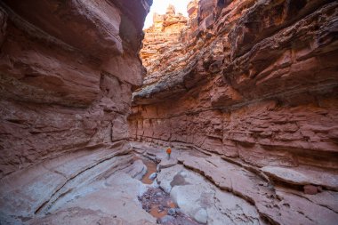 Utah, ABD 'deki Grand Staircase Escalante Ulusal Parkı' ndaki Slot Kanyonu. Utah çöllerinde alışılmadık renkli kumtaşı oluşumları yürüyüşçüler için popülerdir..