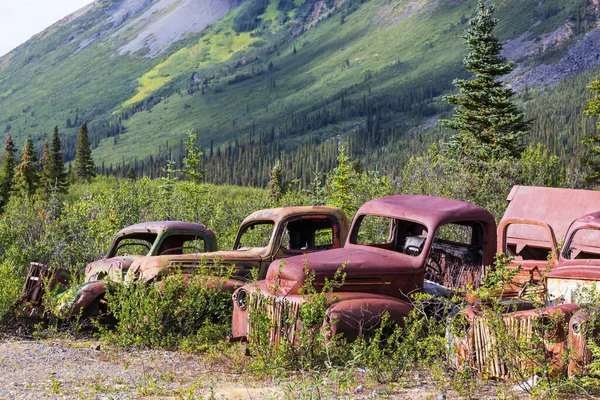 在加拿大北部的夏天 一列废弃的锈迹斑斑的战后卡车在荒野中生锈 — 图库照片