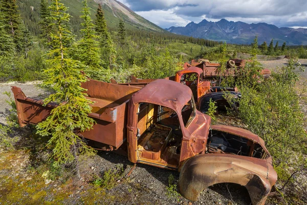 Array Abandoned Rusty Post War Trucks Lay Rusting Away Wilderness — Stock Photo, Image