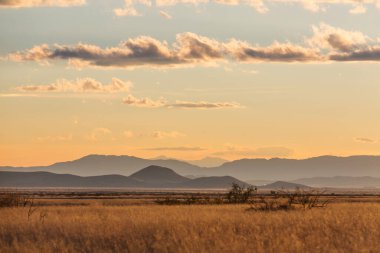 Amerikan peyzajları- çayır ve kayalıklar, Utah, ABD.
