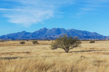 Amerikan peyzajları- çayır ve kayalıklar, Utah, ABD.