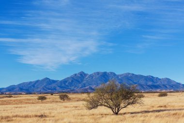 Amerikan peyzajları- çayır ve kayalıklar, Utah, ABD.