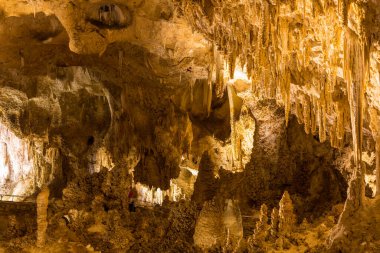 ABD, New Mexico 'daki Carlsbad Mağaraları Ulusal Parkı