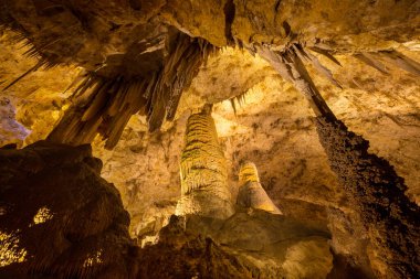 ABD, New Mexico 'daki Carlsbad Mağaraları Ulusal Parkı